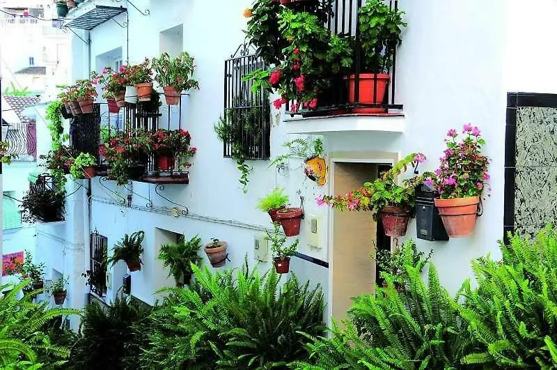 Casa Tita Laura Villa Algarrobo Holiday home